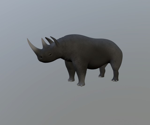 rhinoceros