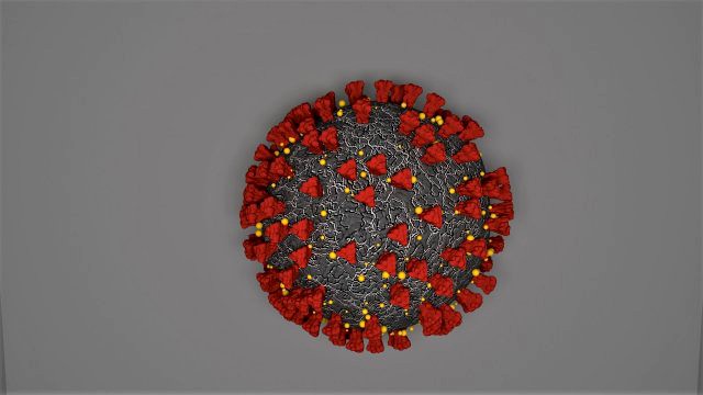 coronavirus covid-19 - virus