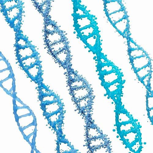 DNA Genetic Molecule