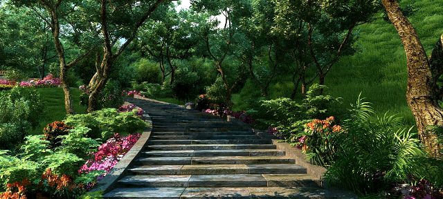 mountain forest