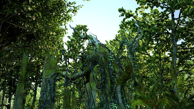 forest