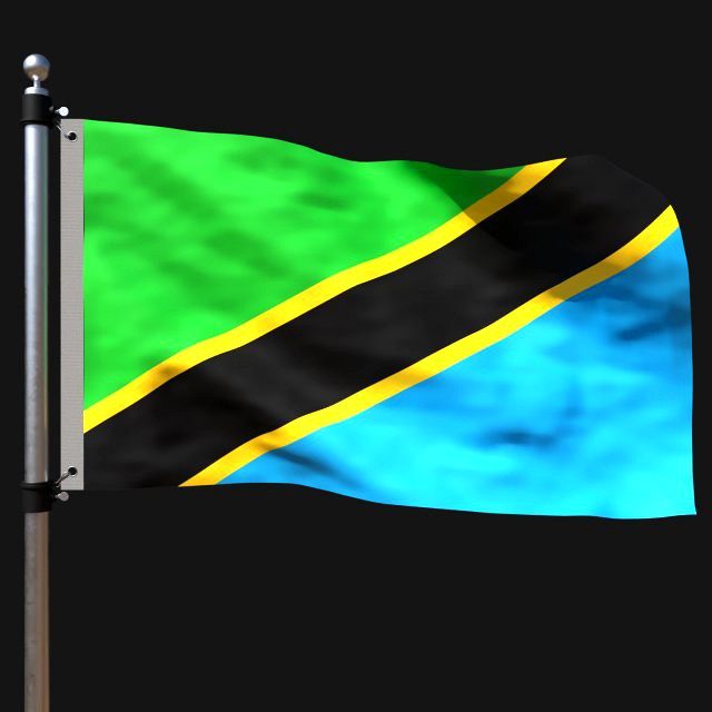 Flag of tanzania