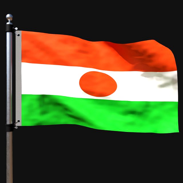 Flag of niger