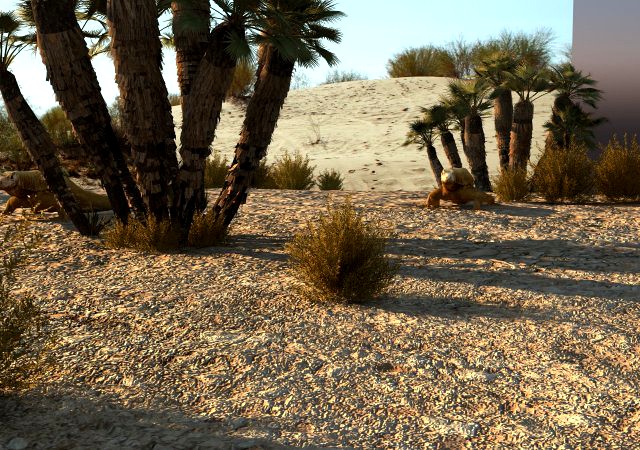 desert lizard