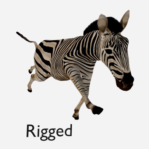 zebra low poly rigged animal mammal