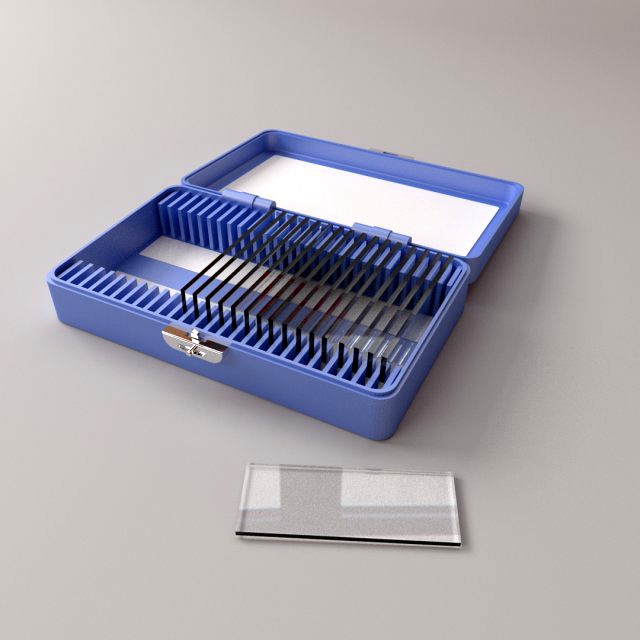 microscope slide box