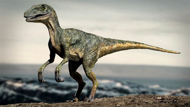 velociraptor animated rigged