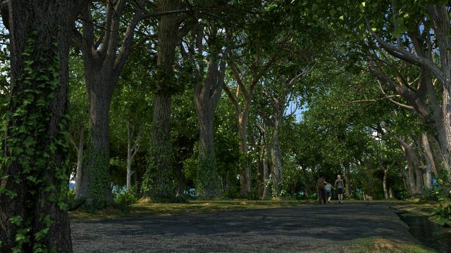 forest