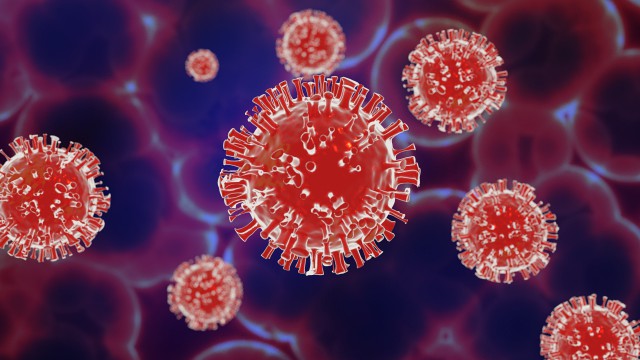 virus model