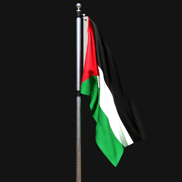 Flag of palestine 02