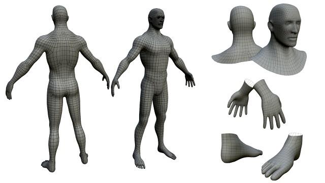 charcaters male anatomy low-poly