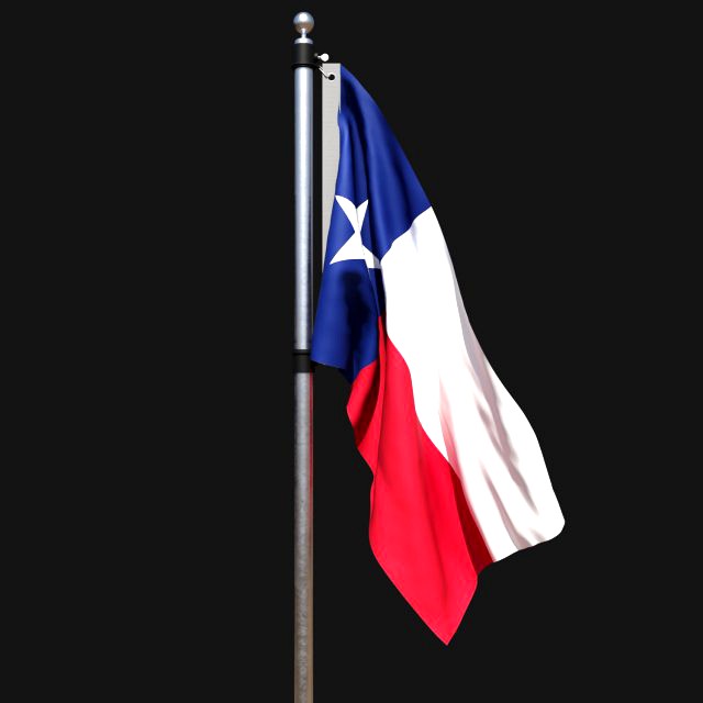 Flag of texas 02