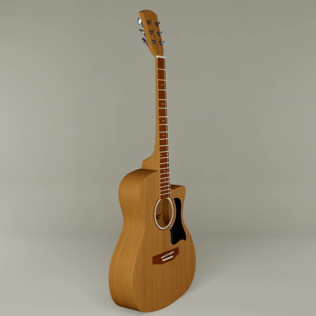 acoustic guitar