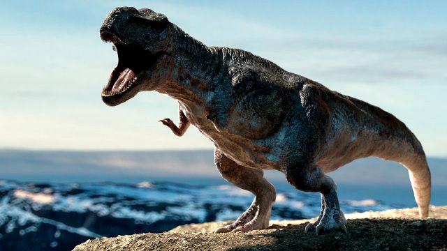 tyrannosaurus rex rigged animated
