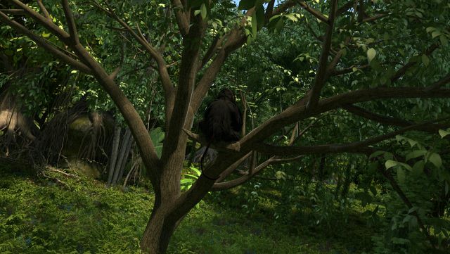 monkey