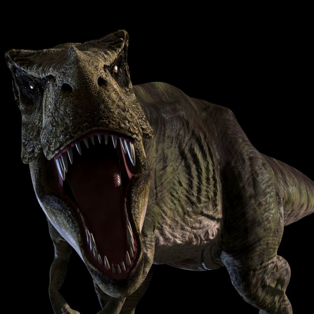 the t rex - 8k