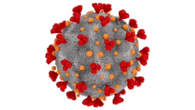 coronavirus