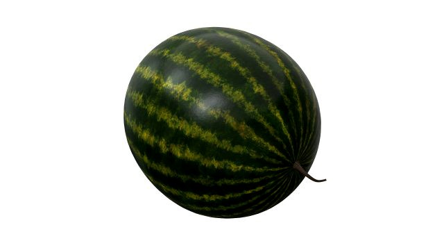 watermelon whole uncutted