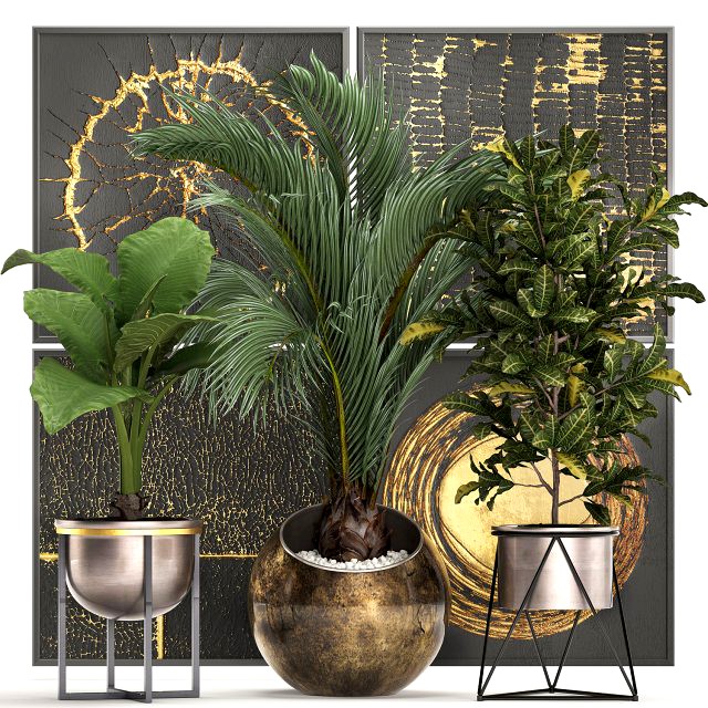 decorative plants in flower pots for the interior 468