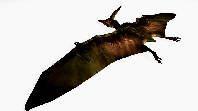 pterodon
