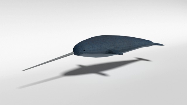 low poly cartoon narwhal