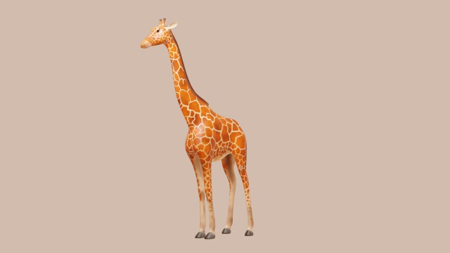 giraffe