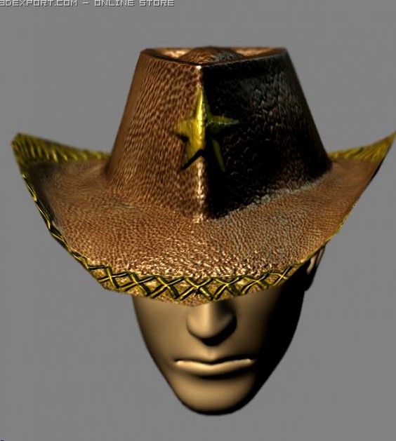 Wild West Hat 3D Model