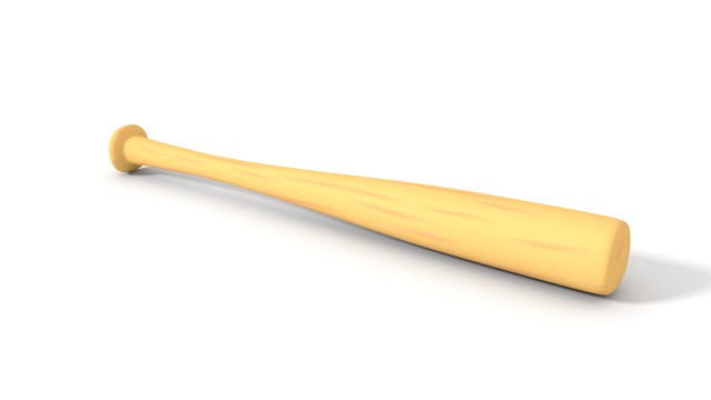 baseball bat
