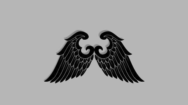 wings