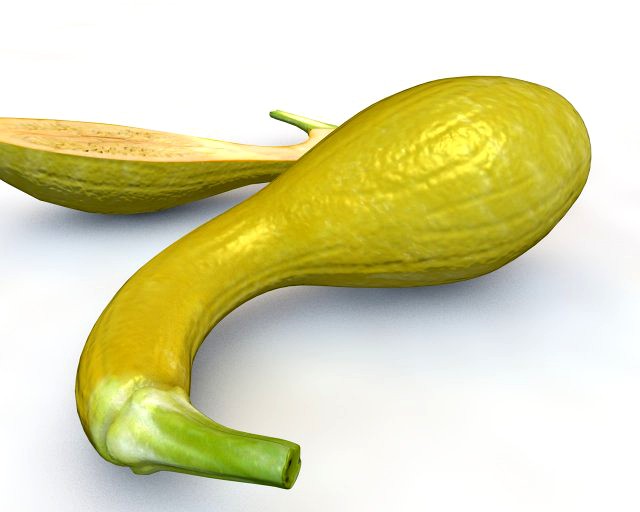 crookneck squash