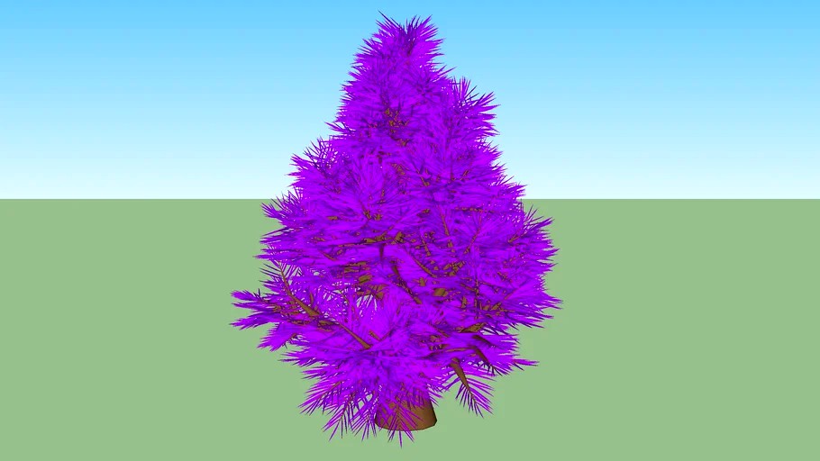 Giant tree five