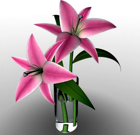 Lily 3D Model