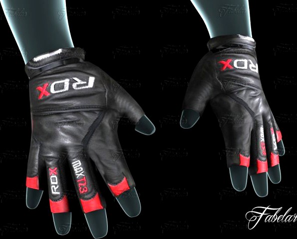 Weight lifting gloves 3D Model