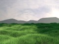Grass 3D Model