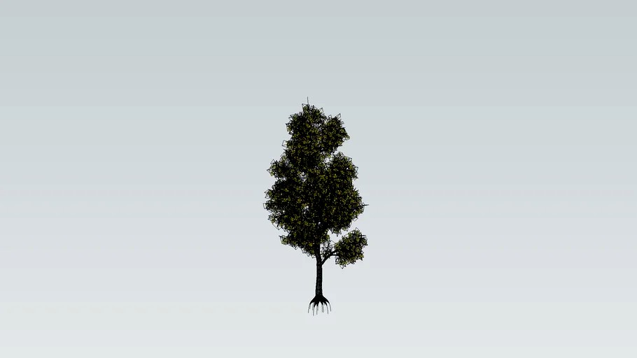 Tree 3D Silver Linden