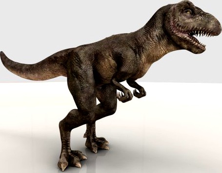 Tyrannosaurus 3D Model