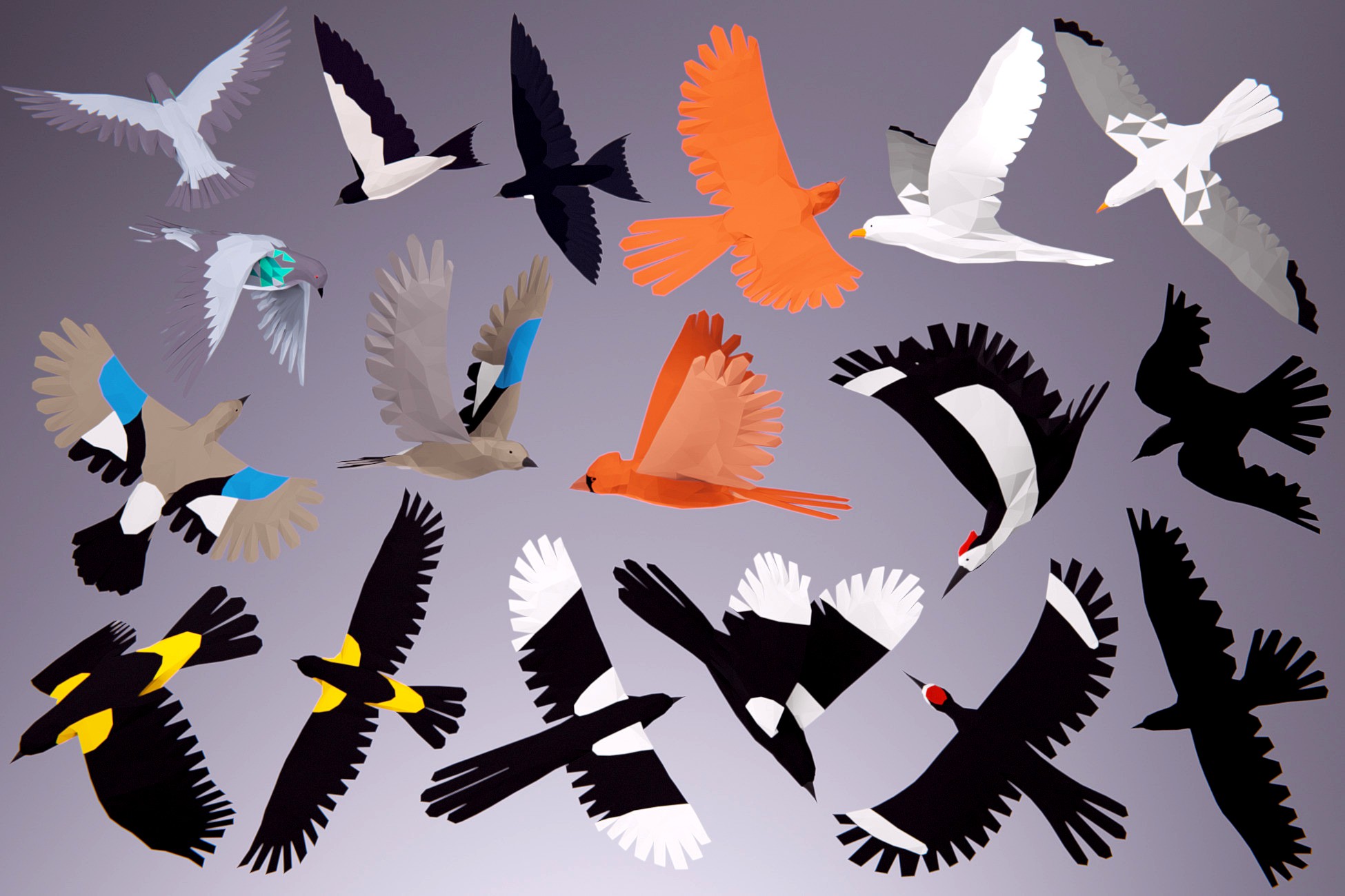 Low Poly Bird: Basic Pack