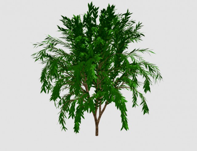 Low poly tree