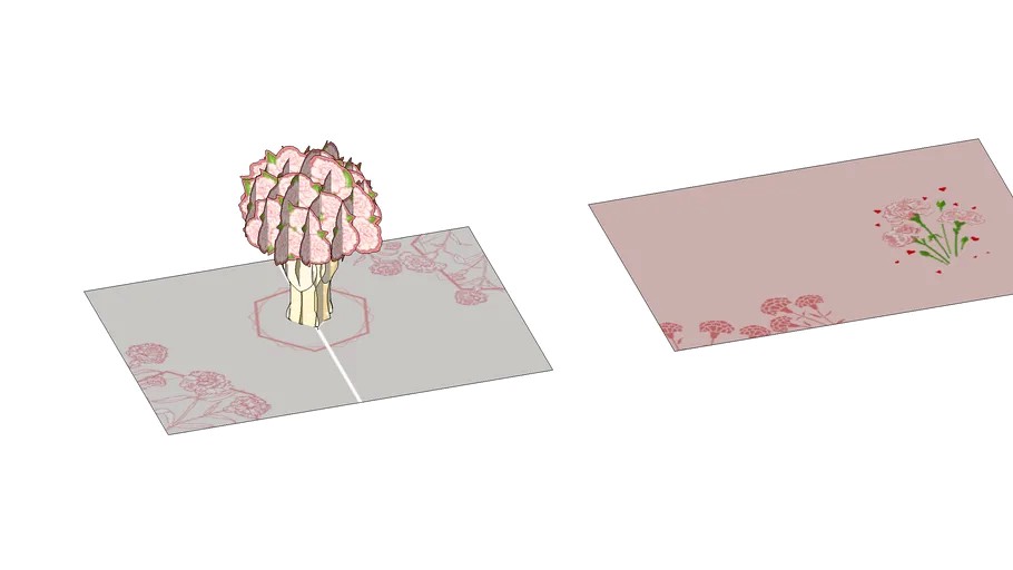 Carnation