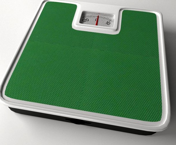 Bathroom Scale 3D Model