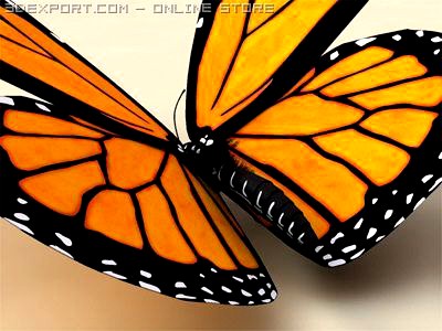 Monarch 3D Model