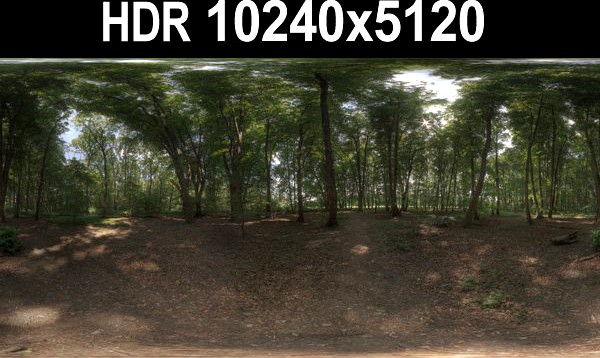 HDR 116 Forest sIBL 3D Model