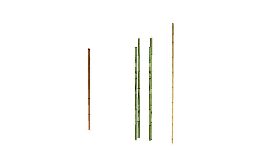 BAMBU _BAMBOO