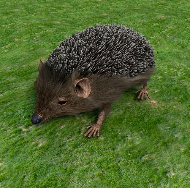 Hedgehog 3D Model