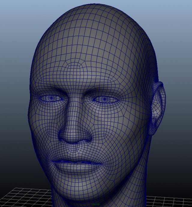 Head Geometry MultiUV 3D Model