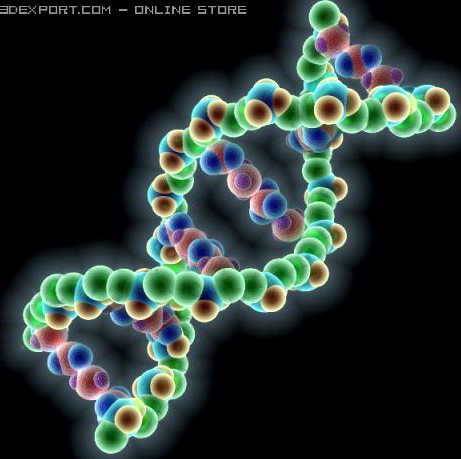DNA molecule 3D Model