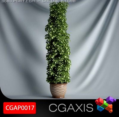 CGAXIS plant 17 3D Model