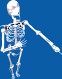 Rigged Human Skeleton Male 3D Model