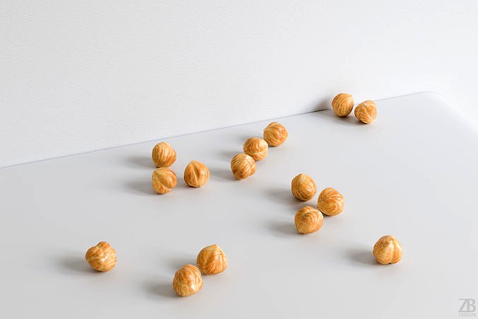 Hazelnut 013