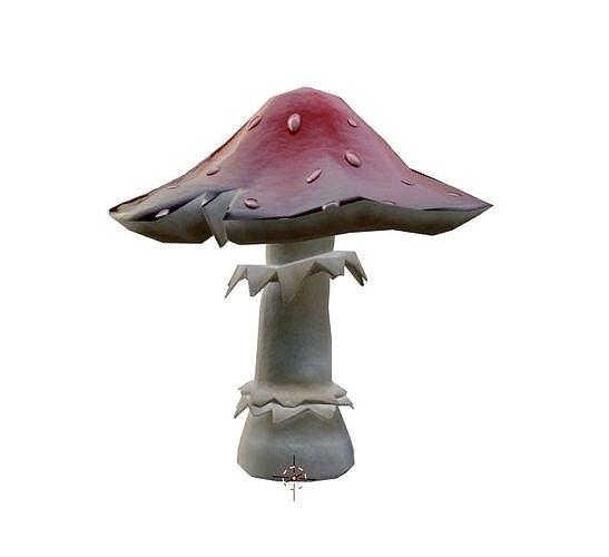 Toadstool Mushroom